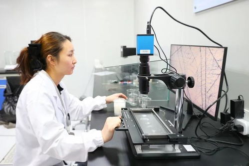 最美生產線 走進中紡聯檢上海，探索檢驗技術服務的卓越之旅